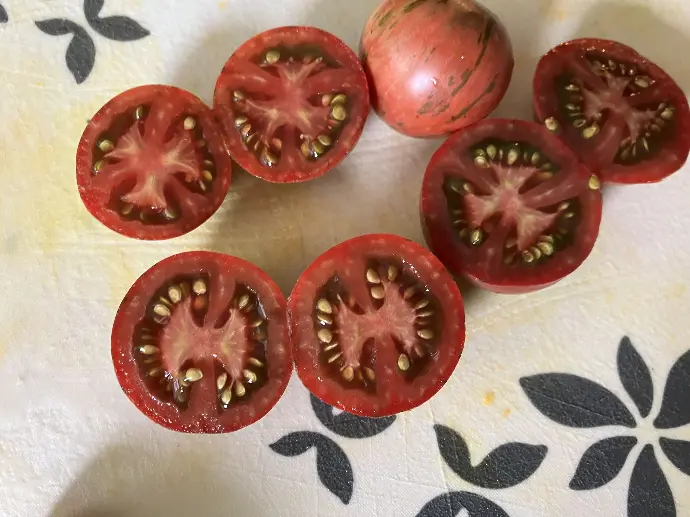 tomate violet jasper