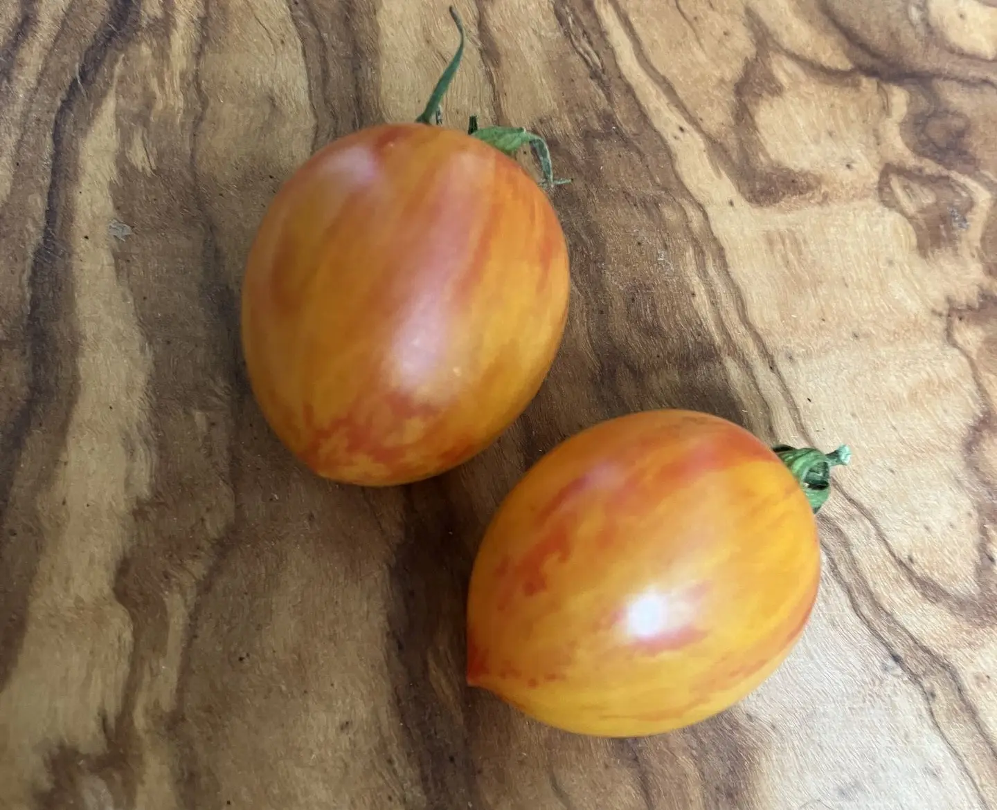 tomate golden bumble bee