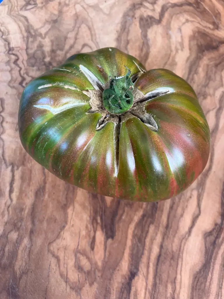Rojo verde Bicolore de Jarl (1).webp