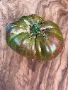 Rojo verde Bicolore de Jarl (1).webp