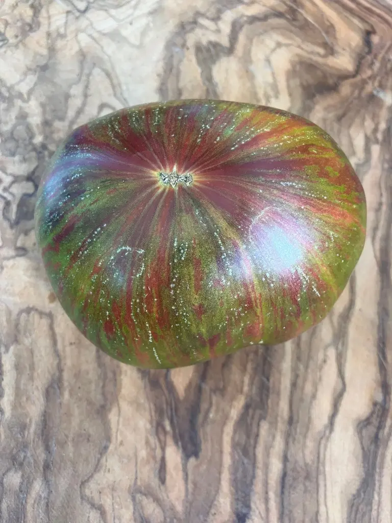 Rojo verde Bicolore de Jarl (2).webp