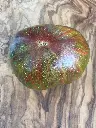 Rojo verde Bicolore de Jarl (2).webp