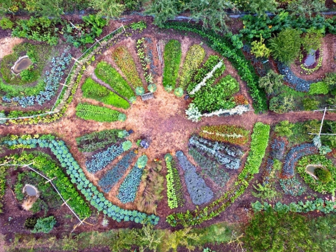 Week end d'introduction à la permaculture - 12 et 13 octobre 2024