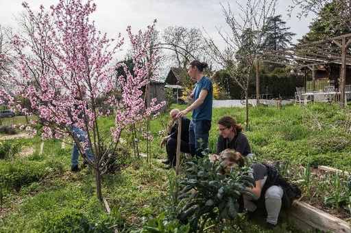 Formation Week end d'introduction à la permaculture 10 et 11 Mai 2025